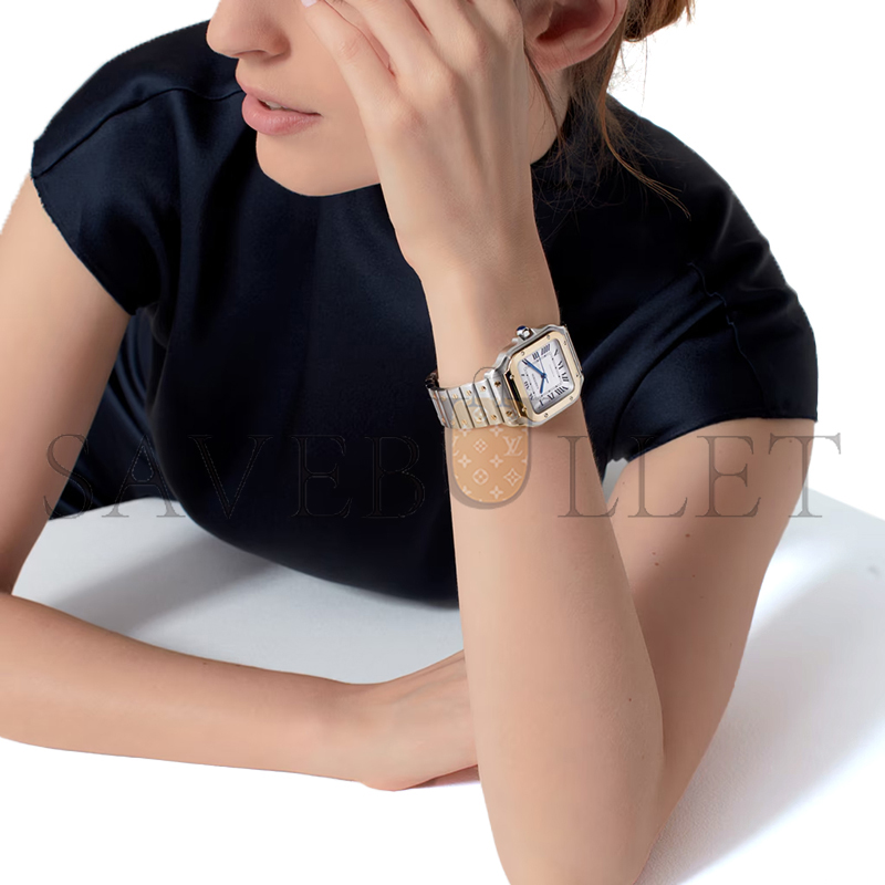 CARTIER SANTOS DE CARTIER WATCH W2SA0016